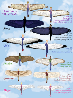 Maximum Ride fang and others