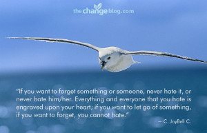 you want to forget something or someone, never hate it, or never hate ...