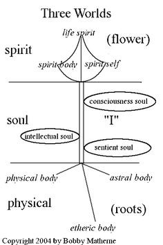 carl jung archetypes More