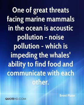 Brent Plater - One of great threats facing marine mammals in the ocean ...