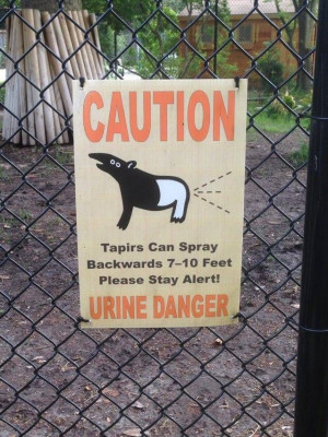 Urine danger... Haha