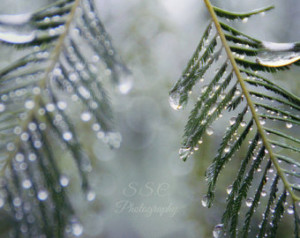 ... . San Francisco Baker Beach. Beach home decor. sea. black and white