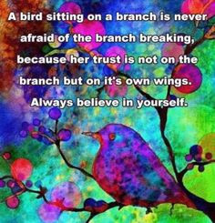 bird sitting on a branch is never afraid of the branch breaking ...