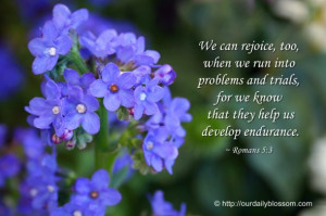 We can rejoice, too, when we run into problems and trials, for we know ...