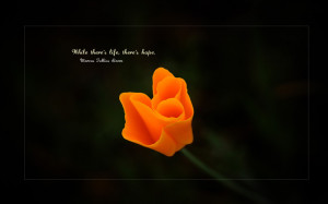 Cute Wallpaper Quotes