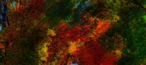 Funny Quotes Contact Dmca...