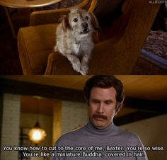 Anchorman! I named my dog Baxter after this movie lol More