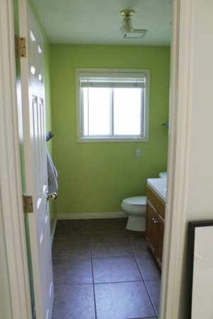 Half Bath Very Green