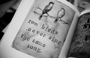 Two Birds Never Sing….