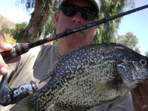 Went out with my buddy crappie Mike. Fish caught off of rock piles in ...