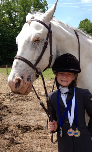 Powerful Stories from Happier Healthier Horses Around the World