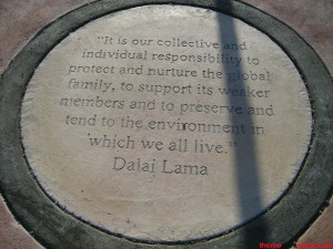 Hard Rock Park - Quote 2