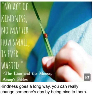 Pinned by Samantha Ruttura