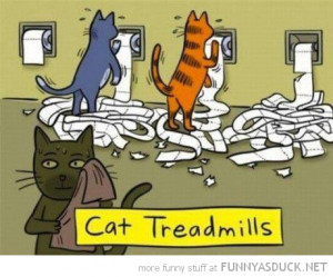 cat treadmills comic toilet roll funny pics pictures pic picture image ...
