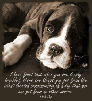 Dog. Companionship. Doris Day. #quote