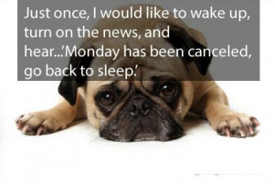 Monday Morning Blues Quotes Funny