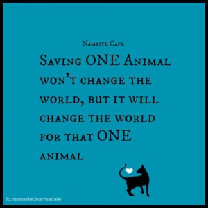 Saving ONE animal won't change the world, but it will change the world ...