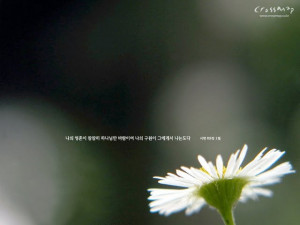 bible verses beautiful scenery wallpapers with bible verses christian ...