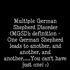 German Shepherd DisorderShepherd Lead, Shepherd Disorder, Shepherd ...