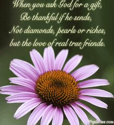 ... are a gift; so thankful for my PinSisters!! Have a blessed Sunday
