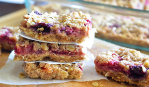 healthy-apple-and-berry-fruit-bars-post.jpg