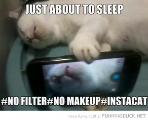 Funny Cat Selfie Sleeping Instagram Pics Comment Picture 500x405