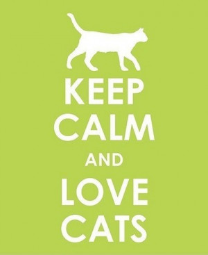 keep calm and love cats