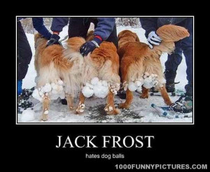 Jack Frost Has Strange Dislikes