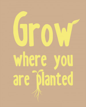 Grow Where You Are Planted, Inspirational Quote, 8 x 10 Typography ...
