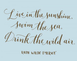 ... the sunshine. Swim the sea. Drink the wild air.