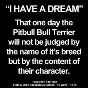 Have A Dream” That One Day The Pitbull Bull Terrier Will Not Be ...