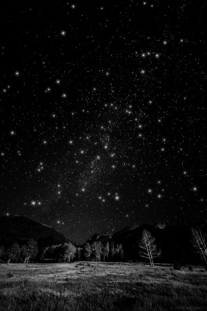 Black and White sky black night galaxy stars night sky wow forest ...