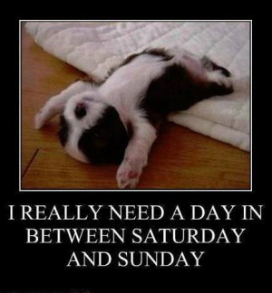 86 of the Funniest Memes in 2013