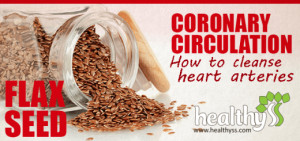 Coronary circulation – How to cleanse heart arteries