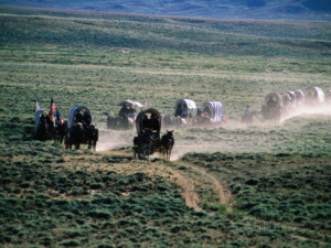 Dusty Horse Carriage Trek, Mormon Pioneer Wagon Train to Utah, Near ...