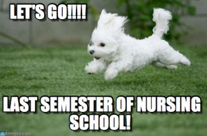 Of Nursing School : Dog Run To The Last Semester Of Nursing School ...