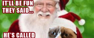 Grumpy Cat Christmas Bacon...