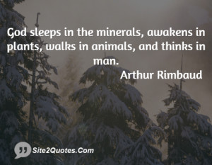God sleeps in the minerals, awakens in plants, walks in animals, and ...