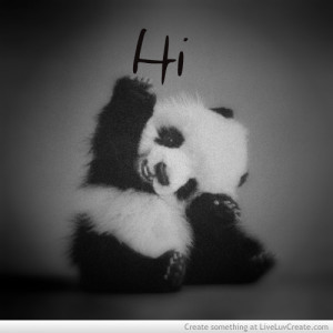cute, greyscale, inspirational, panda says hi, quote, quotes