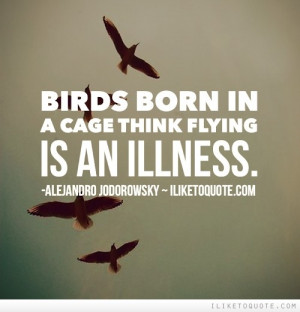 Flying Bird Quotes And Sayings