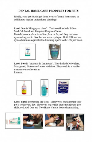 dental quotes 2011 book style with home care info page 4 re HOME CARE