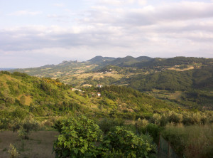 Funny Quotes Contact Us DMCA Notice