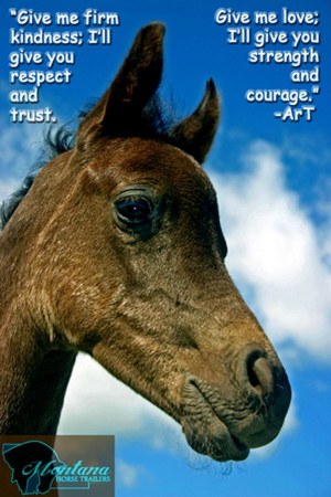 Arabian Horse Sayings http://pic2fly.com/Arabian+Horse+Sayings.html
