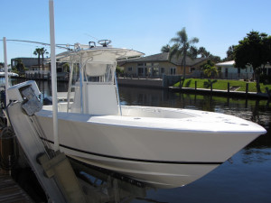 The Contender Book Quotes