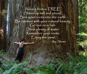 ... and proud sink your roots into the earth be content with your natural