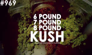 ... quote quotes weed quote weed quotes pothead potheads kush weed