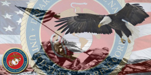 If you had a choice...which military who you pick?