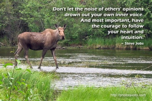 moose quotes