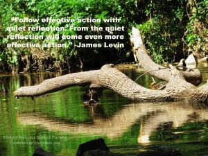 Quiet Reflection…