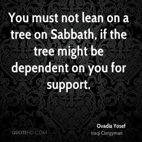 Ovadia Yosef - You must not lean on a tree on Sabbath, if the tree ...
